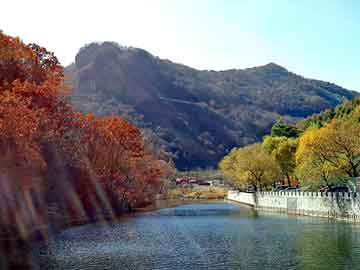 正新澳门二四六天天彩，大仓忠义女友